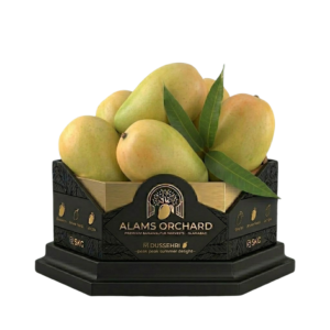 Dussehri (The Elongated Sweet) - Premium 5kg Box