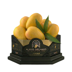 Fajri (The Giant of Mangoes) - Premium 5kg Box
