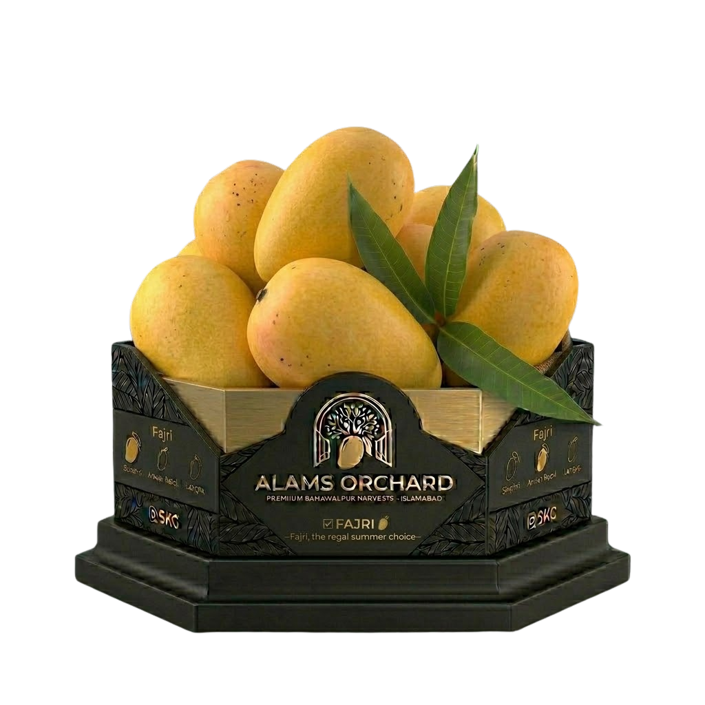 Fajri (The Giant of Mangoes) – Premium 5kg Box