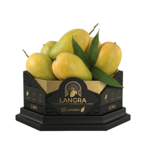 Langra (The Summer Delicacy) - Premium 5kg Box