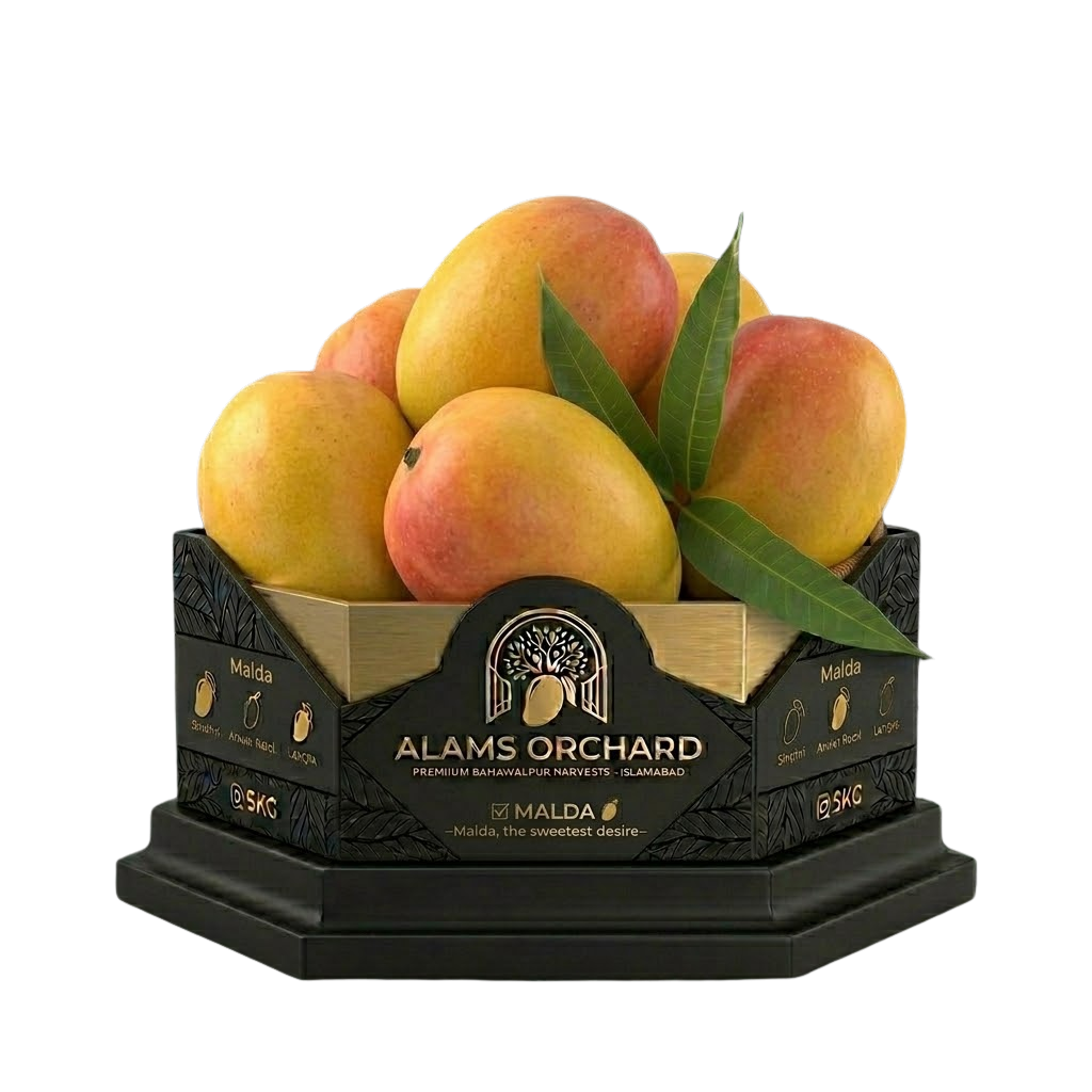 Malda (The Juicy Delight) – Premium 5kg Box